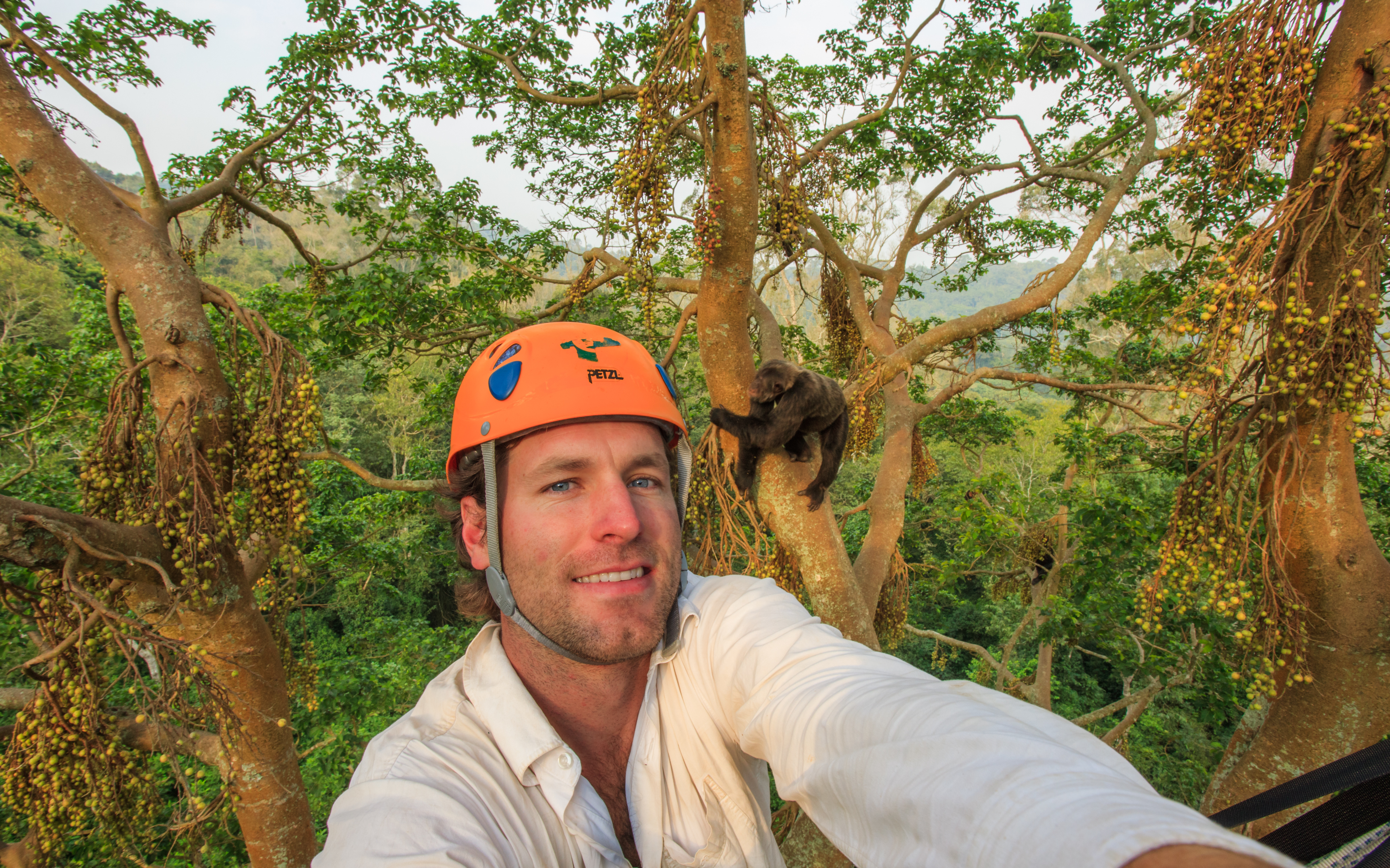 Ronan Donovan snaps a selfie in a tree with a chimp. 