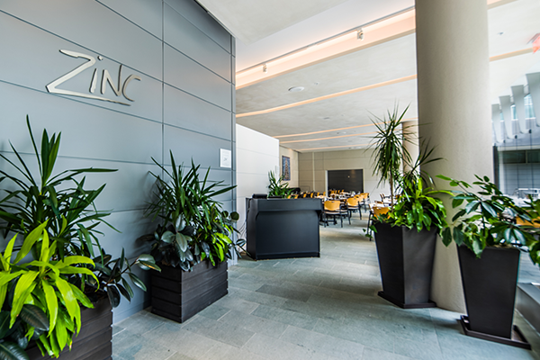 Zinc entrance 